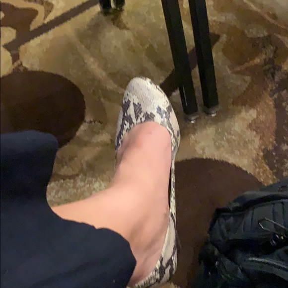 ndmissy1